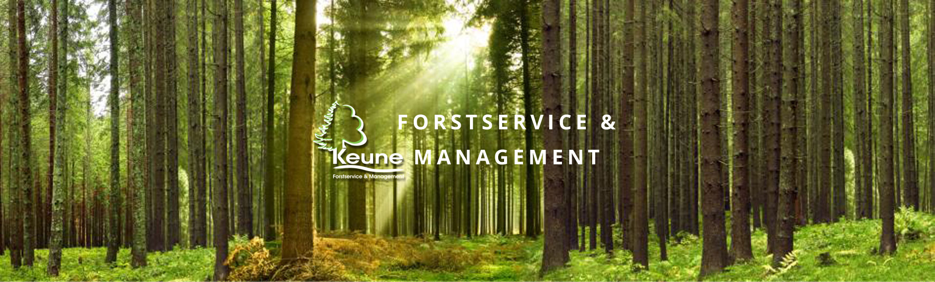 Keune Forstservice und Management
